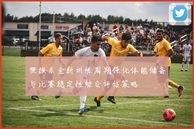 樊振东全新训练周期强化体能储备与比赛稳定性综合评估策略