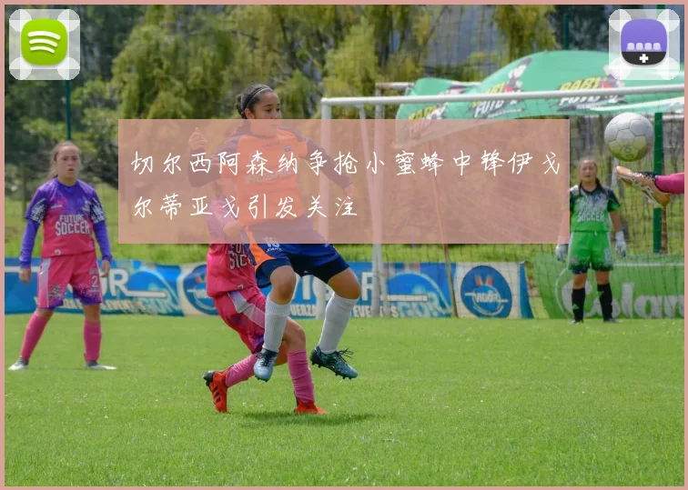 切尔西阿森纳争抢小蜜蜂中锋伊戈尔蒂亚戈引发关注