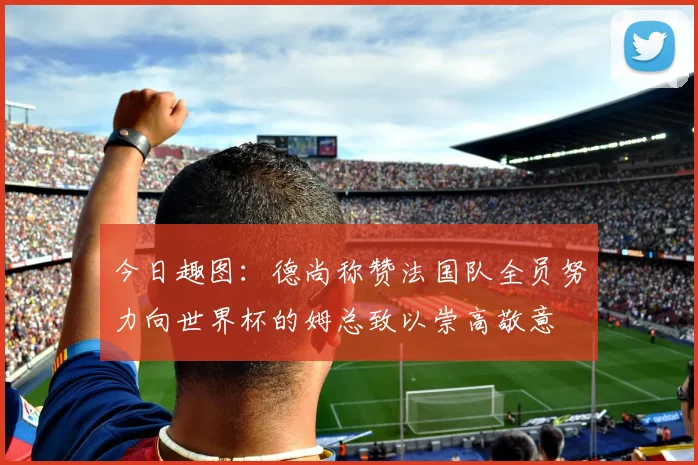 今日趣图：德尚称赞法国队全员努力向世界杯的姆总致以崇高敬意