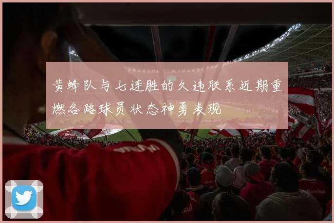 黄蜂队与七连胜的久违联系近期重燃各路球员状态神勇表现